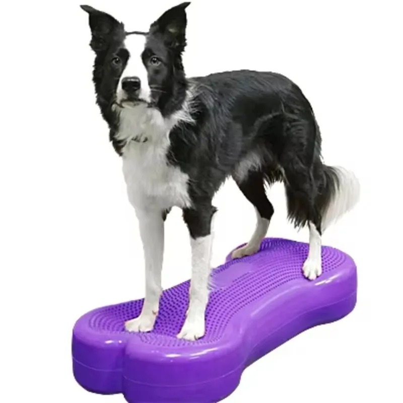 Ball Dynamics Balance Training - Bosu Ball Balance recensione e prezzo